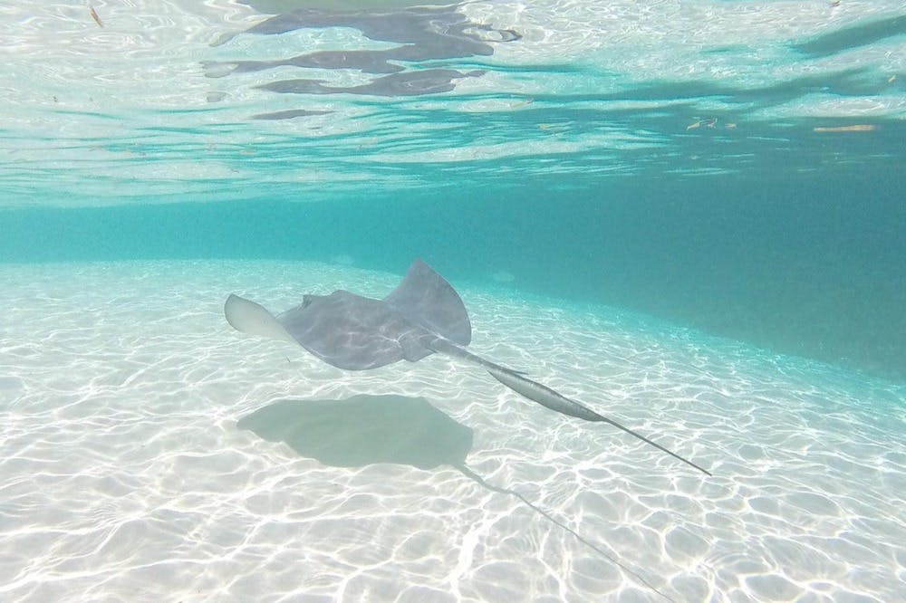 Ft Lauderdale Day Trip to Grand Bahama Tiqets