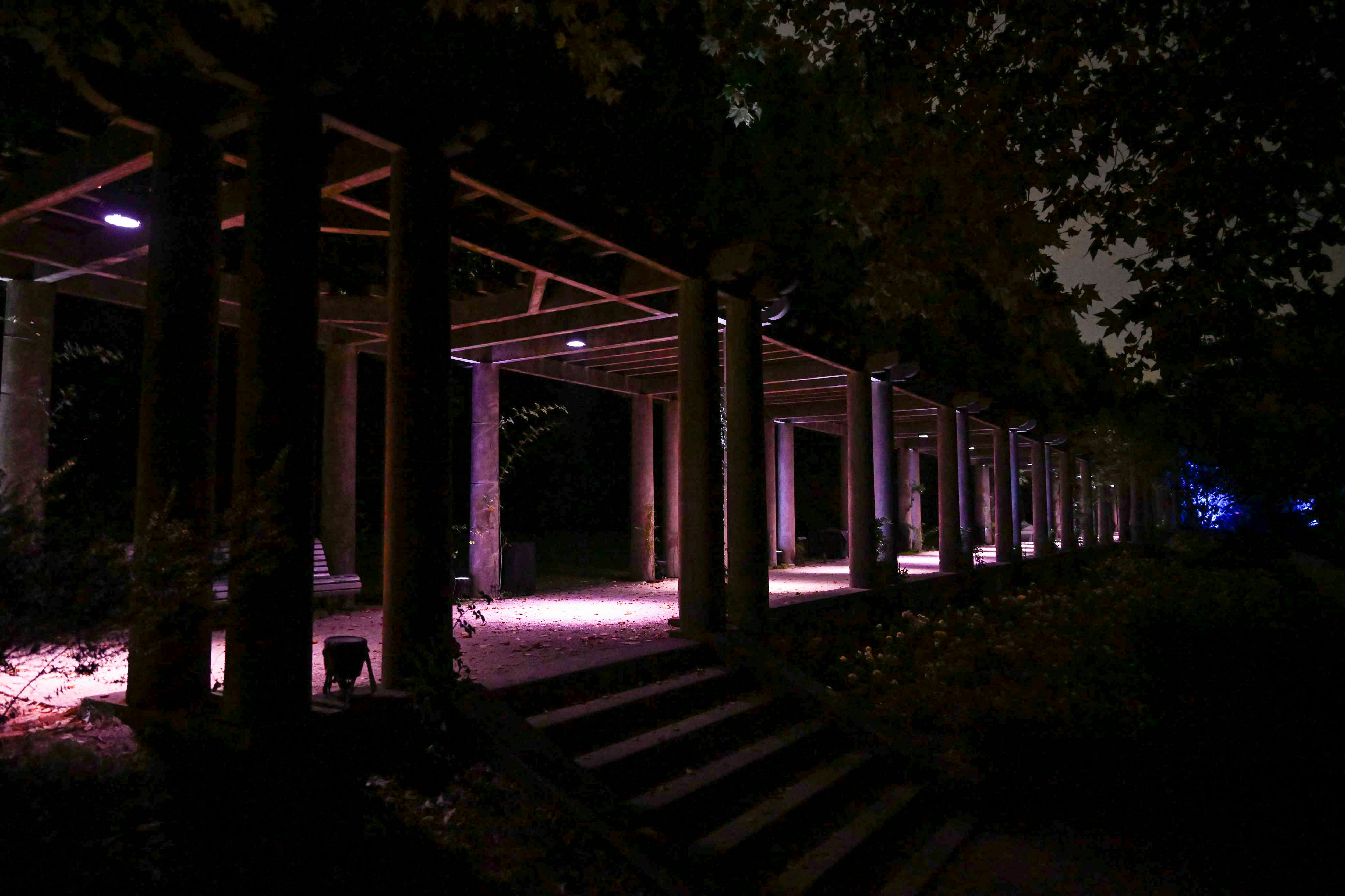 Porto: Serralves in Light (Serralves em Luz) Entry Ticket - Photo 8