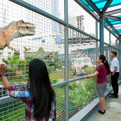 Window Of The Top: Skywalk, Observatory Deck & Skybridge