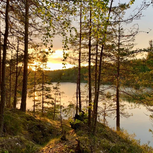 Tyresta Solnedgångsvandring