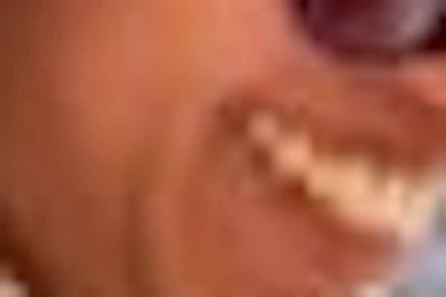 Visita guiada con boletos a Chichén Itzá