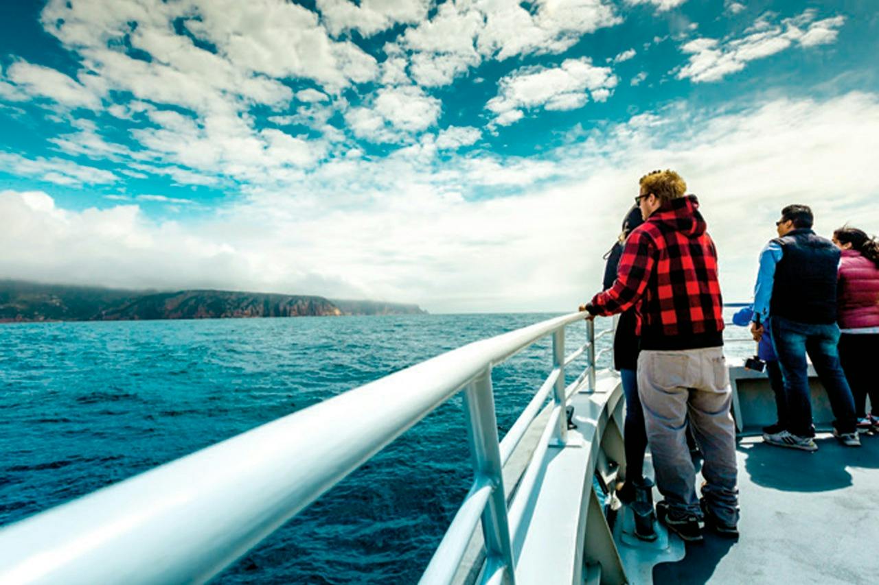 People standing on a boat deck overlooking the ocean under a cloudy sky.