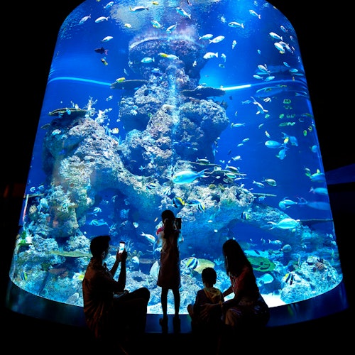 Entradas para el S.E.A. Aquarium™