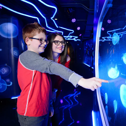 London Eye, Madame Tussauds e SEA LIFE London: Bilhete de entrada - Photo 6
