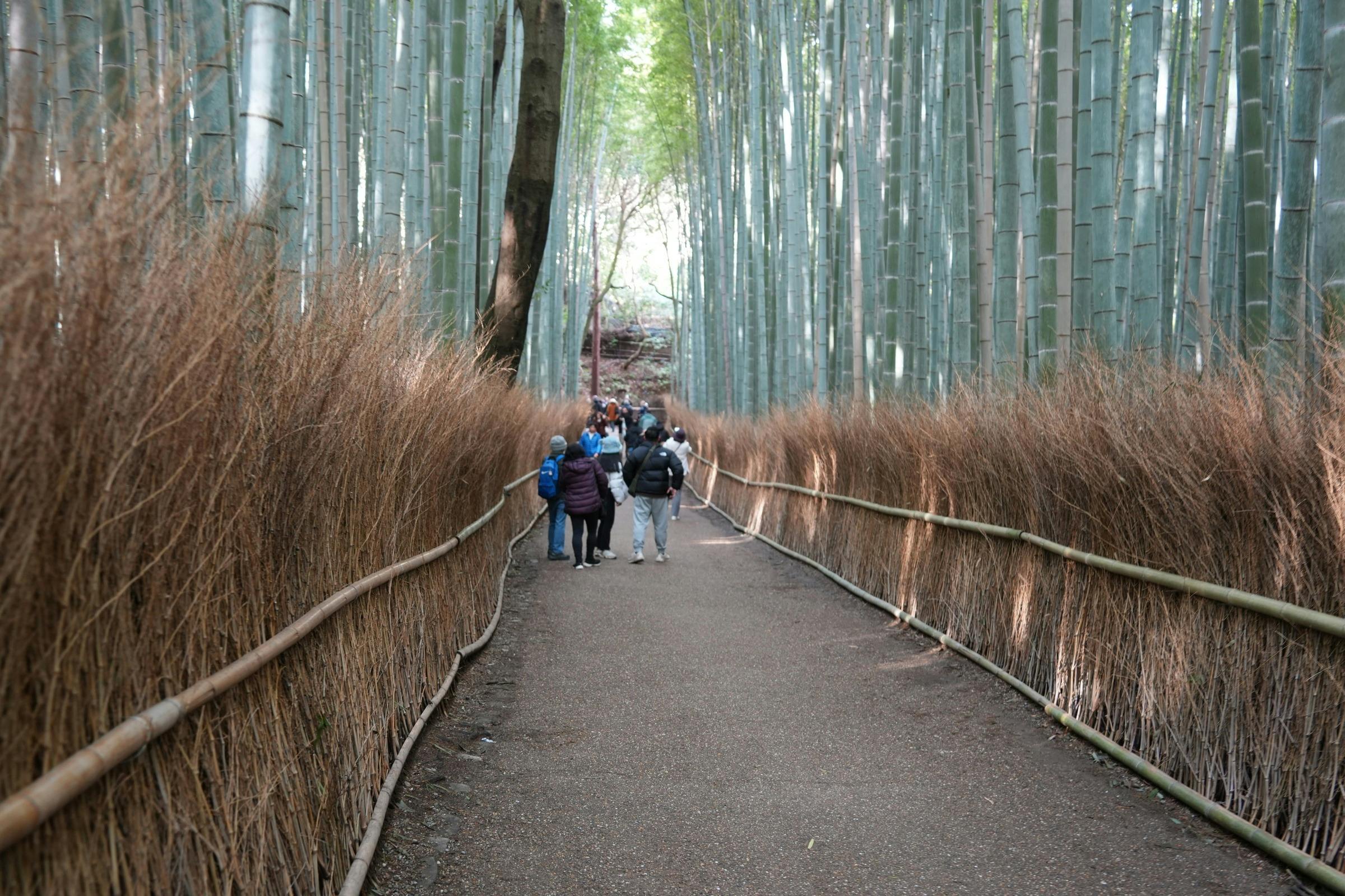 Kyoto: Guided Tour + Roundtrip Bus Transfer - Photo 2