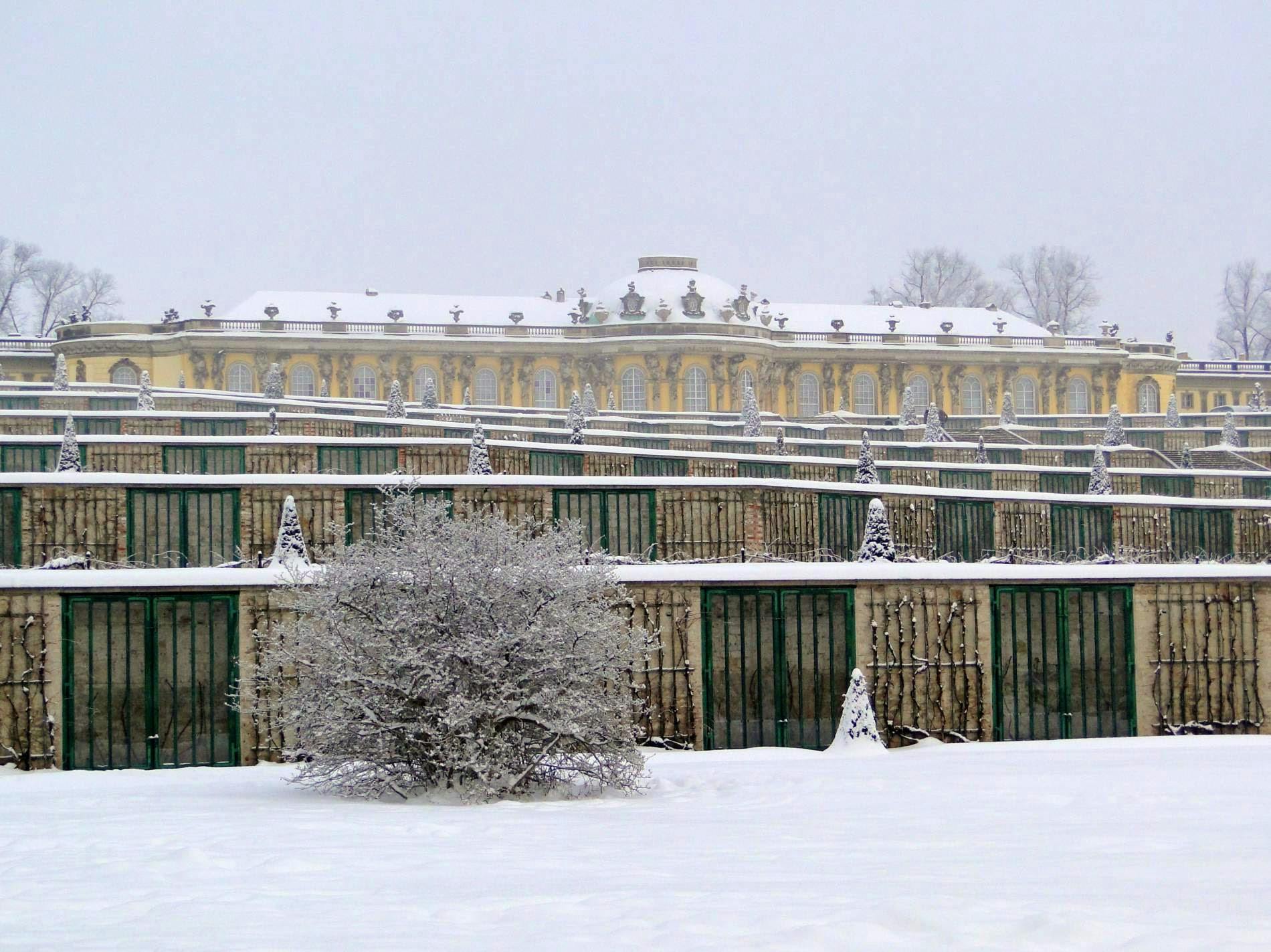 白雪皑皑的露台花园，后面有一座大型建筑，前景设有错综复杂的栏杆和灌木丛。