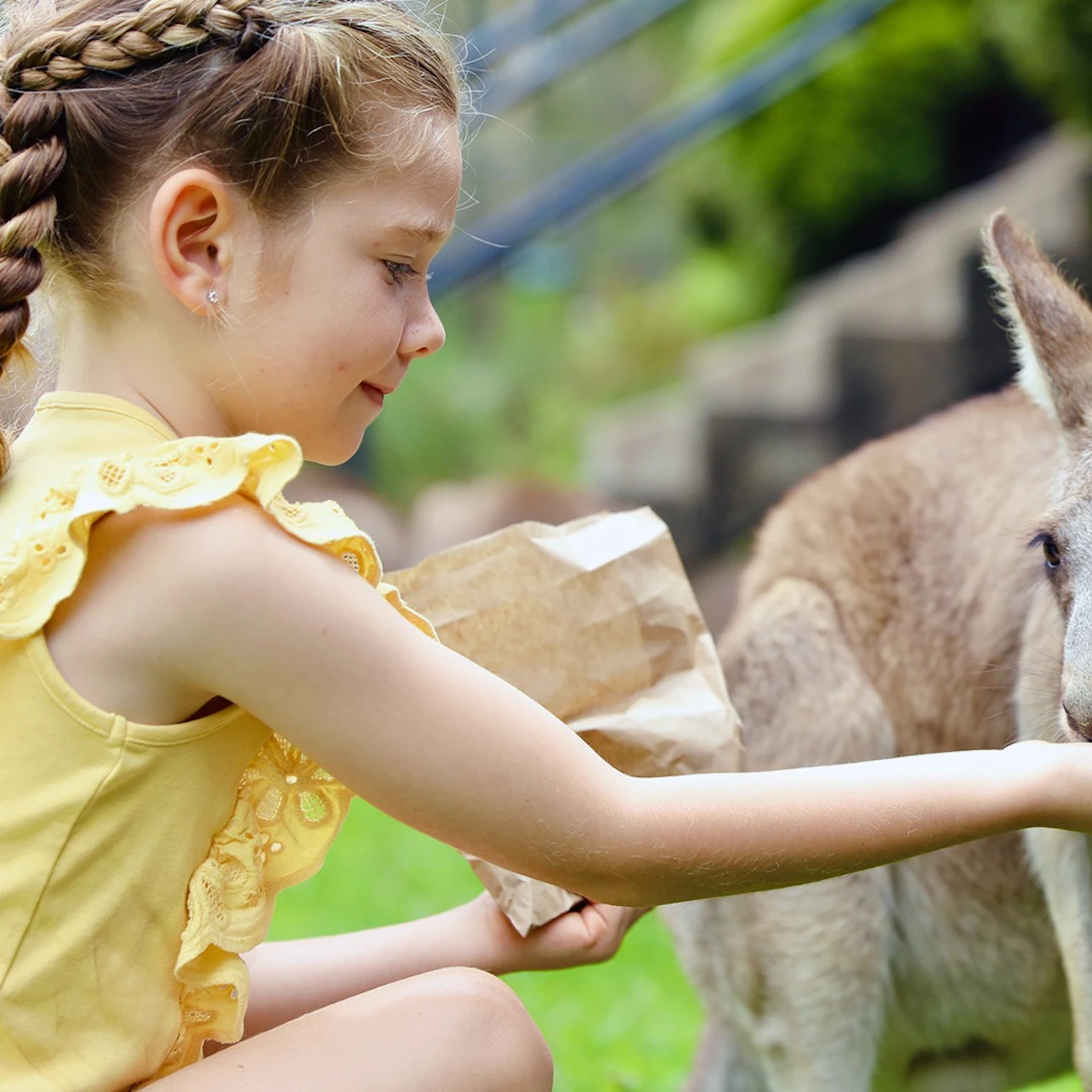 Australian Reptile Park: Entry Ticket in Somersby β Tiqets