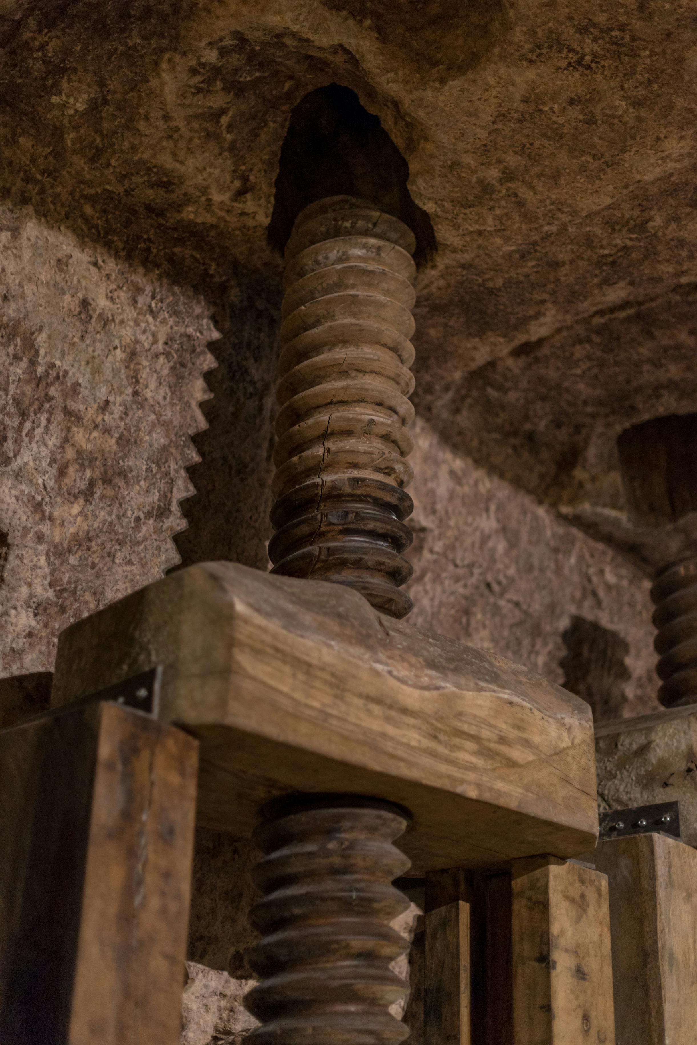 MOOM - Matera Olive Oil Museum - Accommodations in Matera