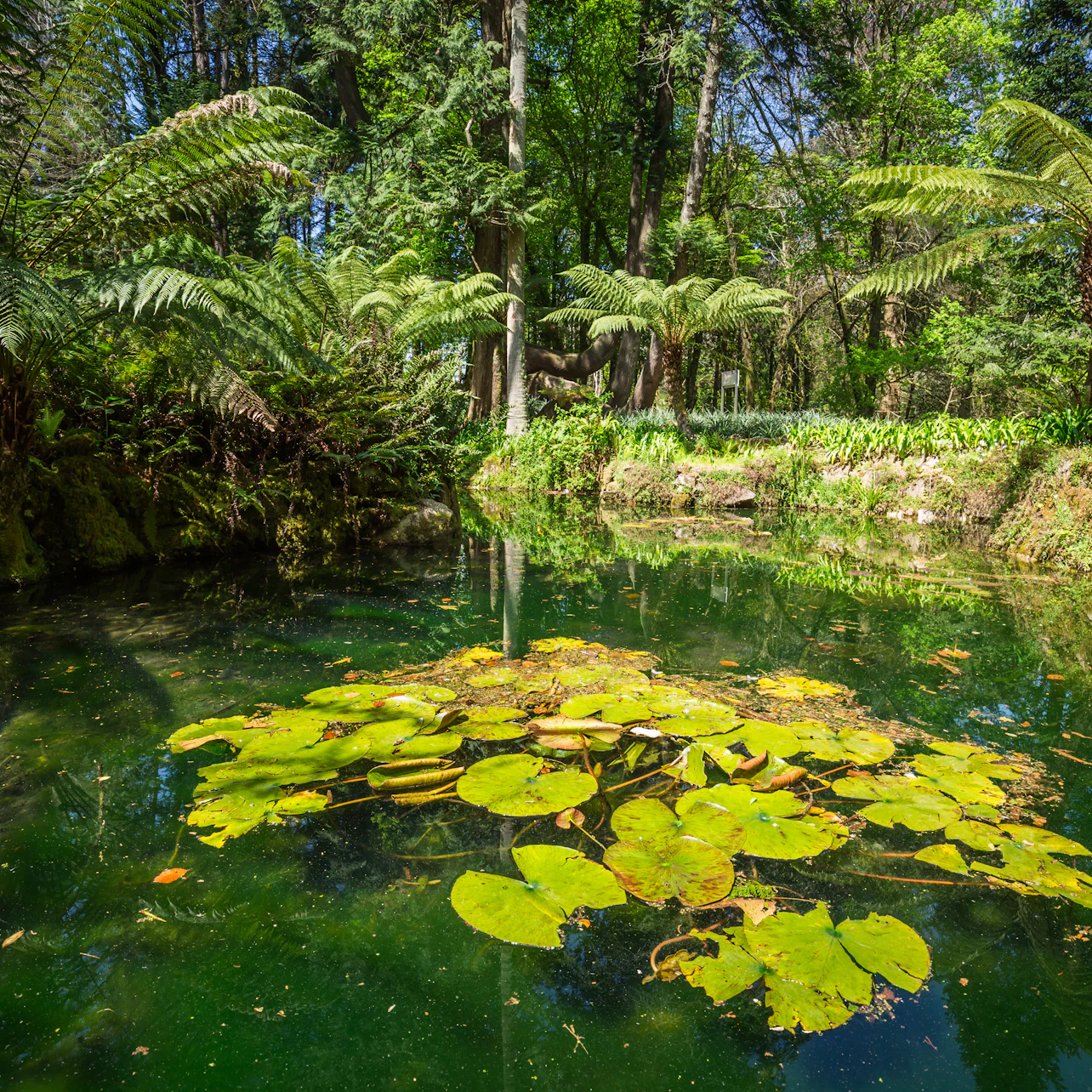 Monserrate Palace: Entry Ticket in Sintra β Tiqets
