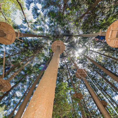 Treetops Adventure The Hills: Junior Ropes Course