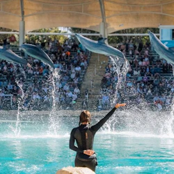 Sea World