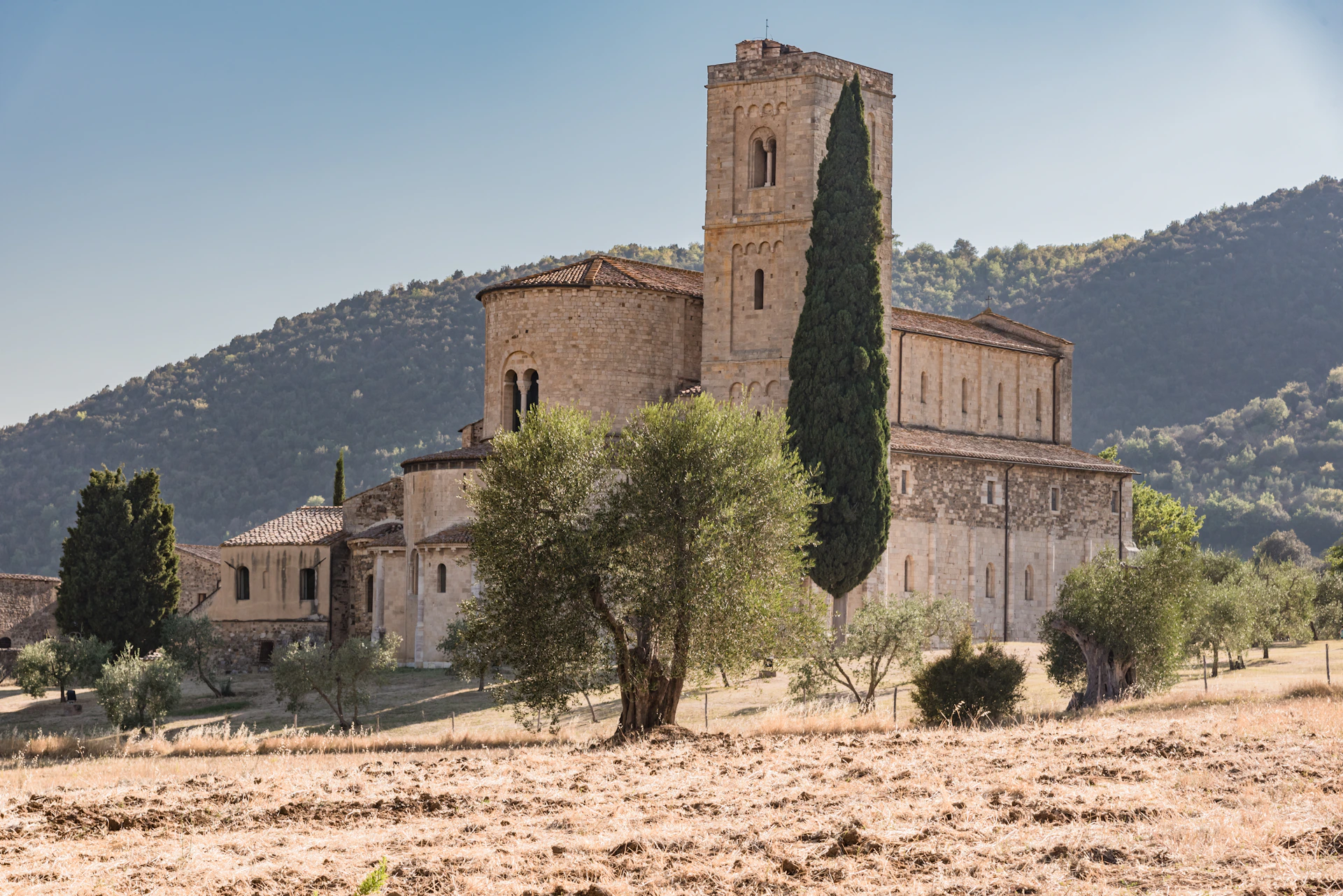 Stone church with a tall tower and a large tree in front, set in a grassy, rural landscape with hills in the background.