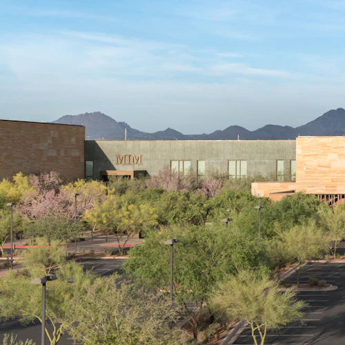 Musical Instrument Museum Phoenix: Entry Ticket