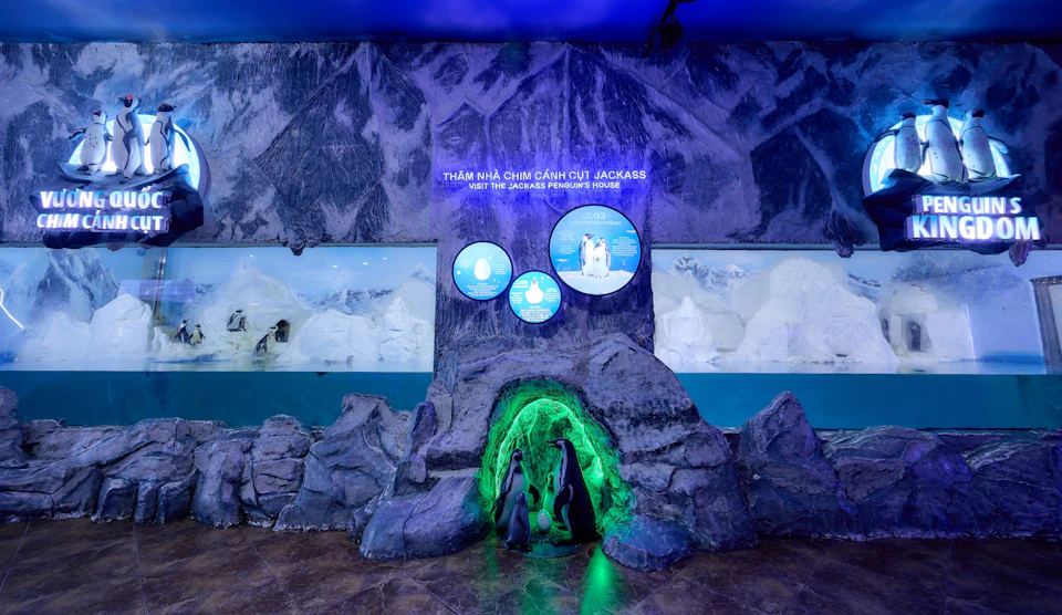 An exhibit with penguins features icy decor, a cave-like enclosure, informational signs, and a sign reading 'Visit the Jackass Penguins' House.'