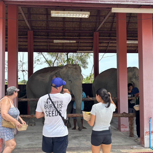Freedom Elephant Reserve Phuket: Entry + Feeding Experience - Photo 5