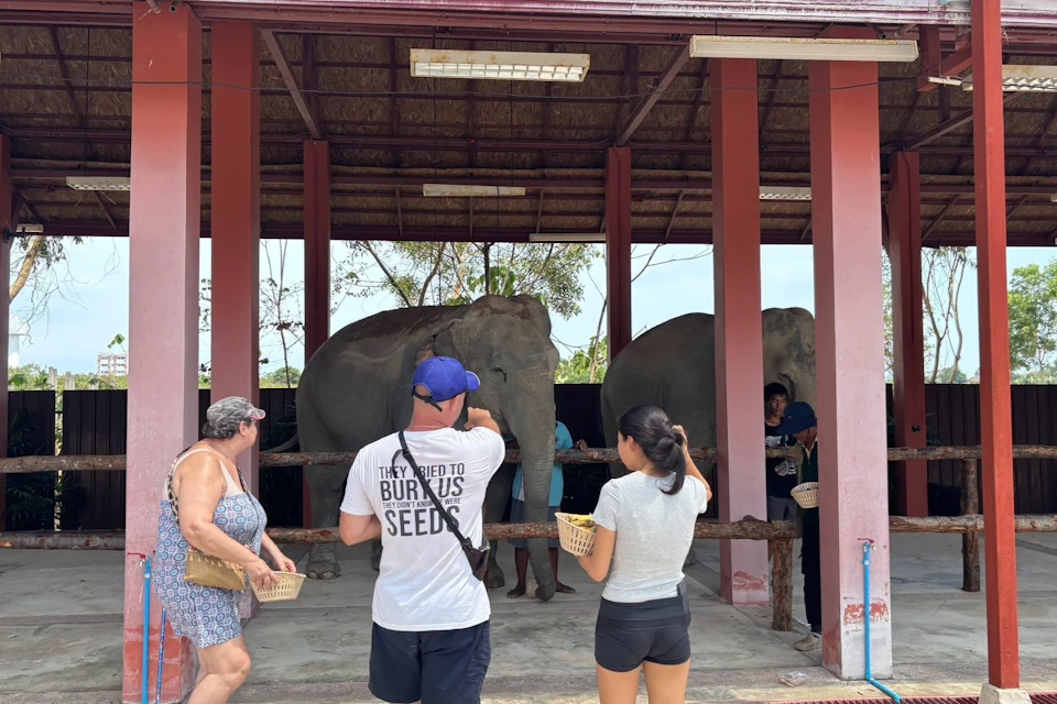 People feeding two elephants inside a sheltered enclosure with baskets of food.