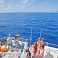 Boot naar Mallorca om dolfijnen te zien