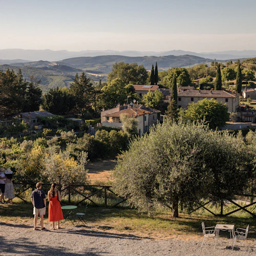 Chianti: Day Trip from Florence + Wine Tour & Tasting - Photo 8