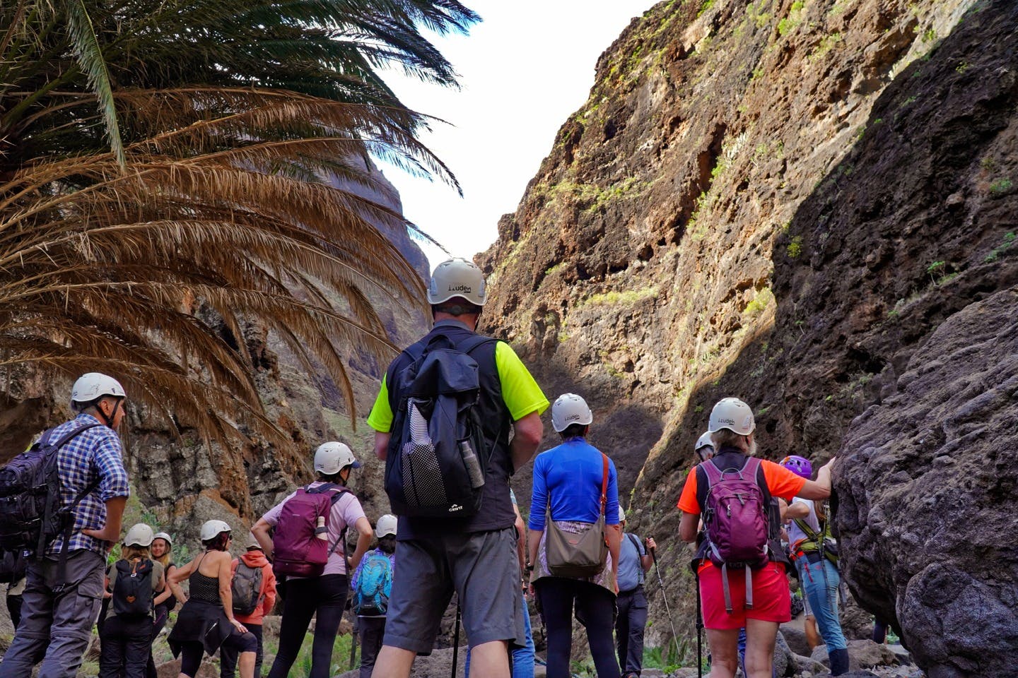一群徒步旅行者欣赏马斯卡峡谷