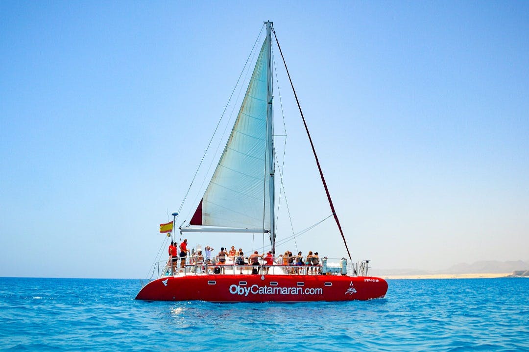 Lobos Island: Catamaran Cruise + Lunch & Drinks - Photo 7