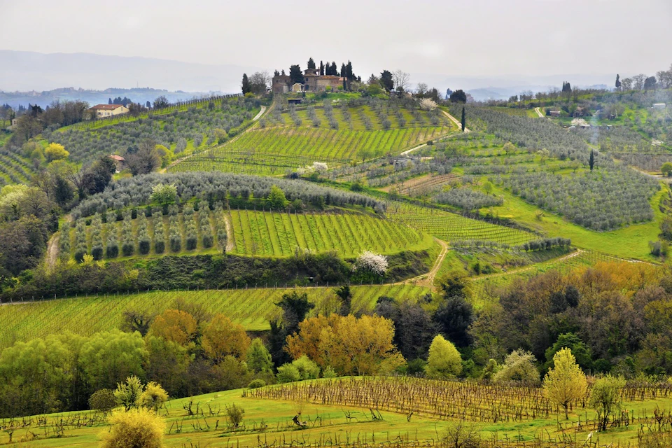 Chianti