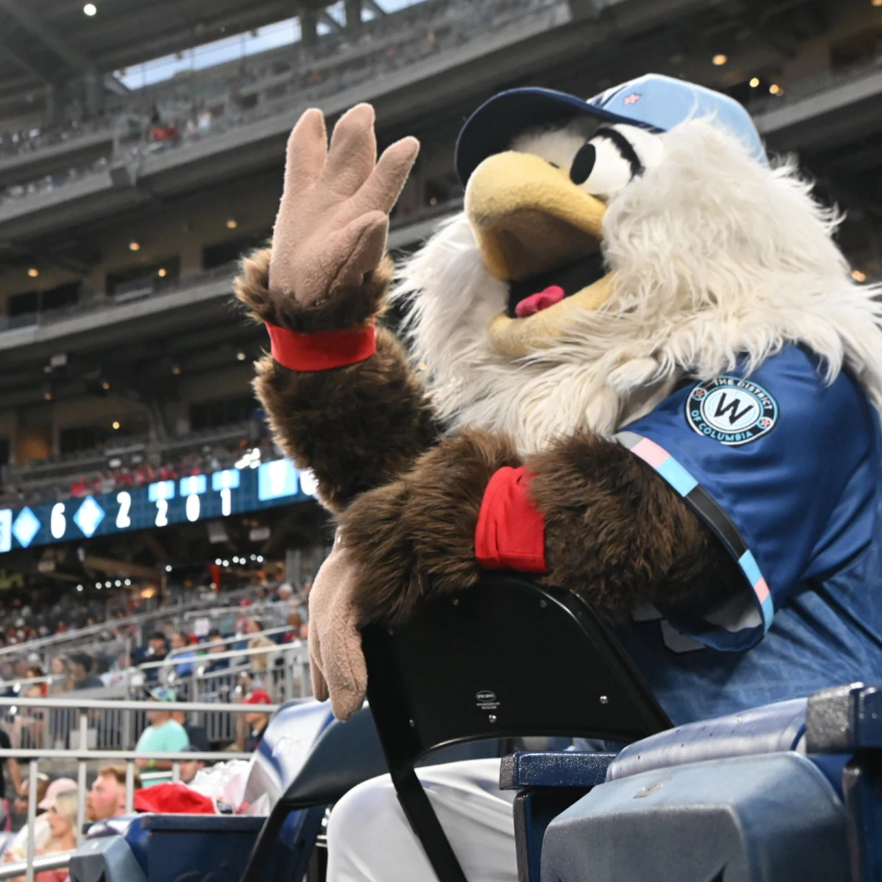 Slider Image