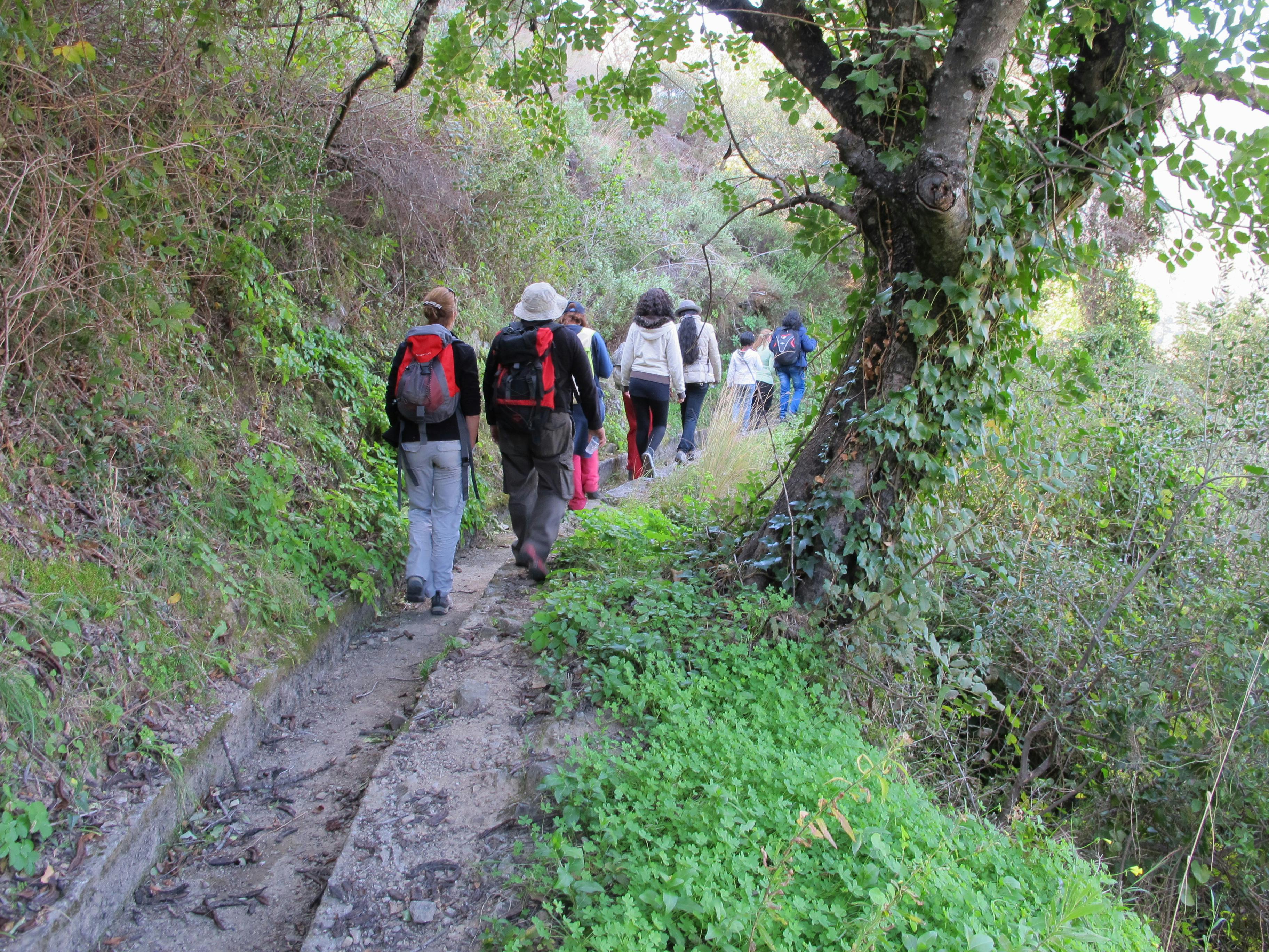 Skupina turistů s batohy kráčejících po úzké stezce hustou zelení.