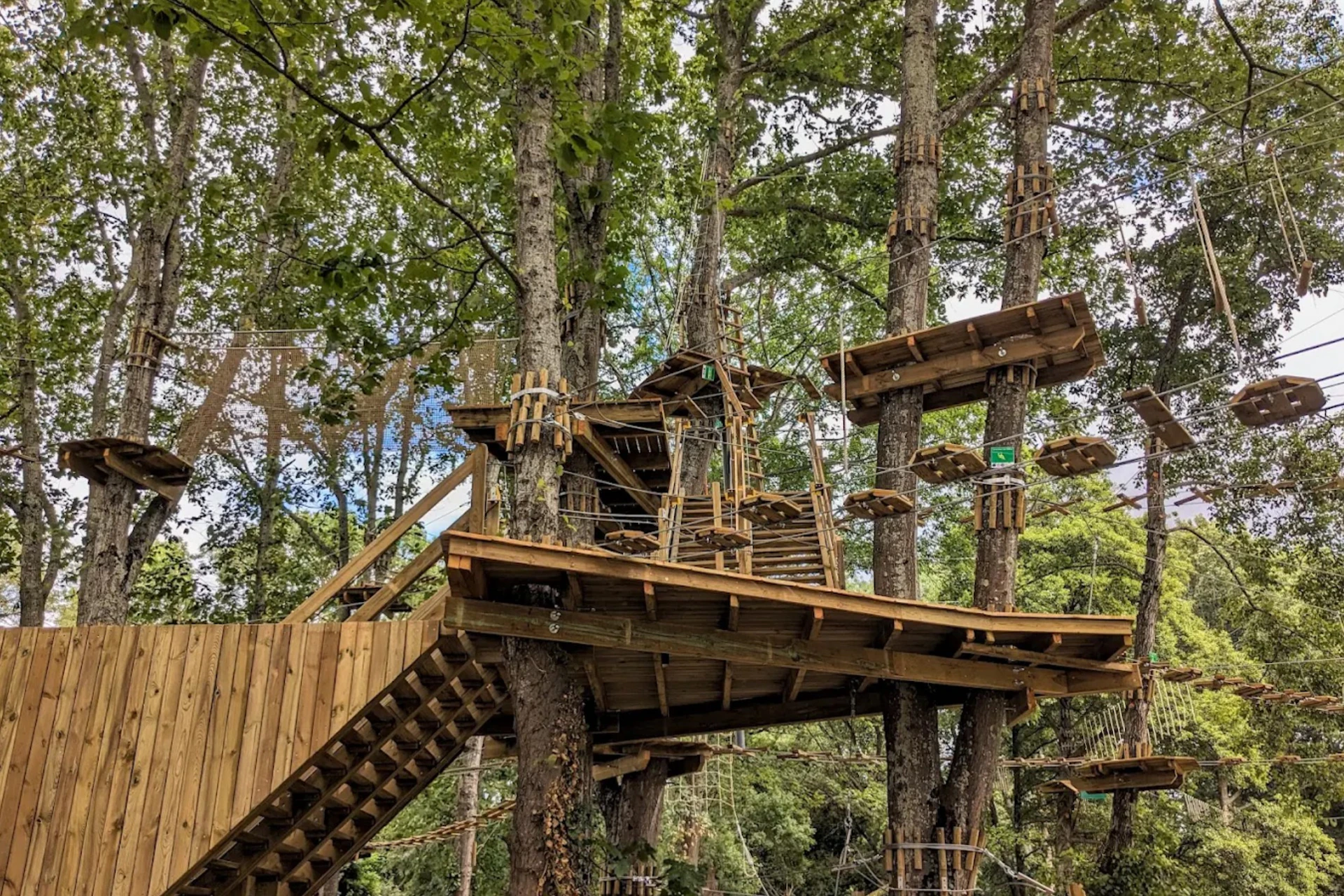Treehouse structure with multiple platforms and rope bridges, connected by staircases, nestled among tall, leafy trees.