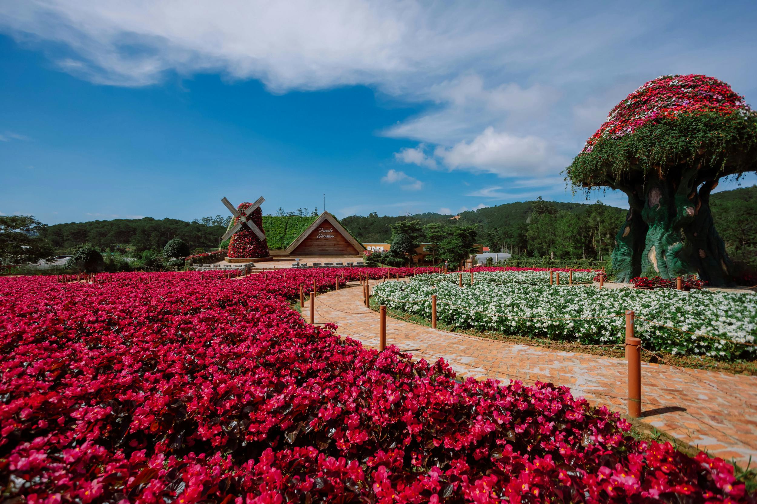 A vibrant garden with red and white flowers, a brick path, and a windmill structure under a blue sky with clouds.