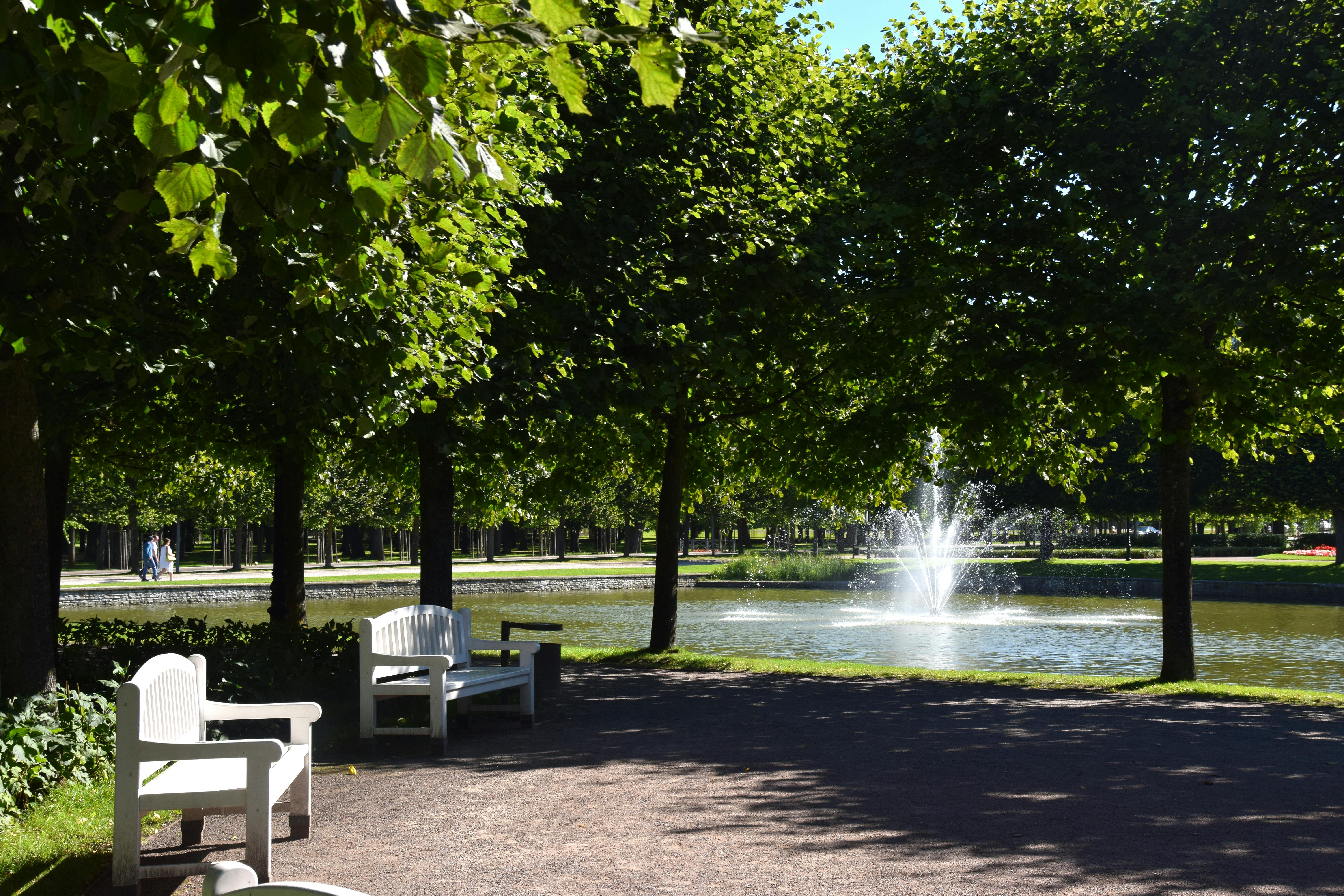 Park scene with a white bench, shady trees, and a fountain in a pond. Sunlight filters through the leaves.