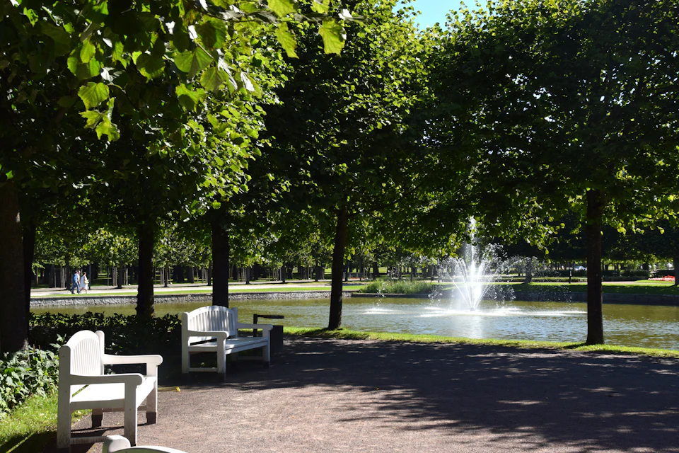 Park scene with a white bench, shady trees, and a fountain in a pond. Sunlight filters through the leaves.