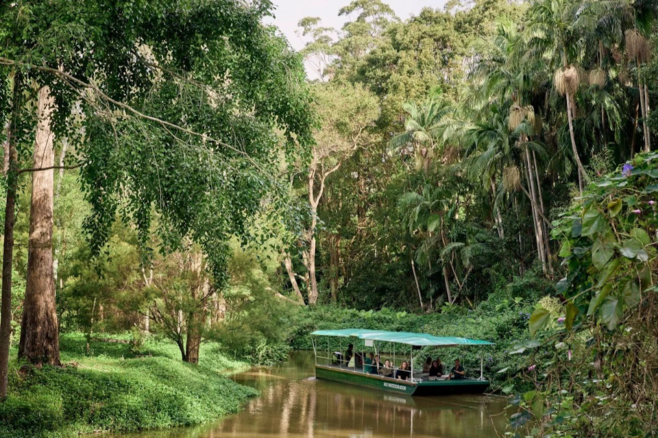 A green boat with a canopy carrying passengers travels along a calm river surrounded by lush, dense forest vegetation.