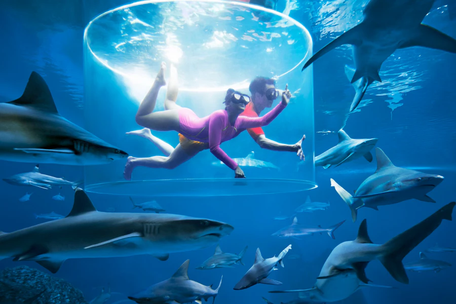 Ingressos para o Adventure Cove Waterpark em Singapura