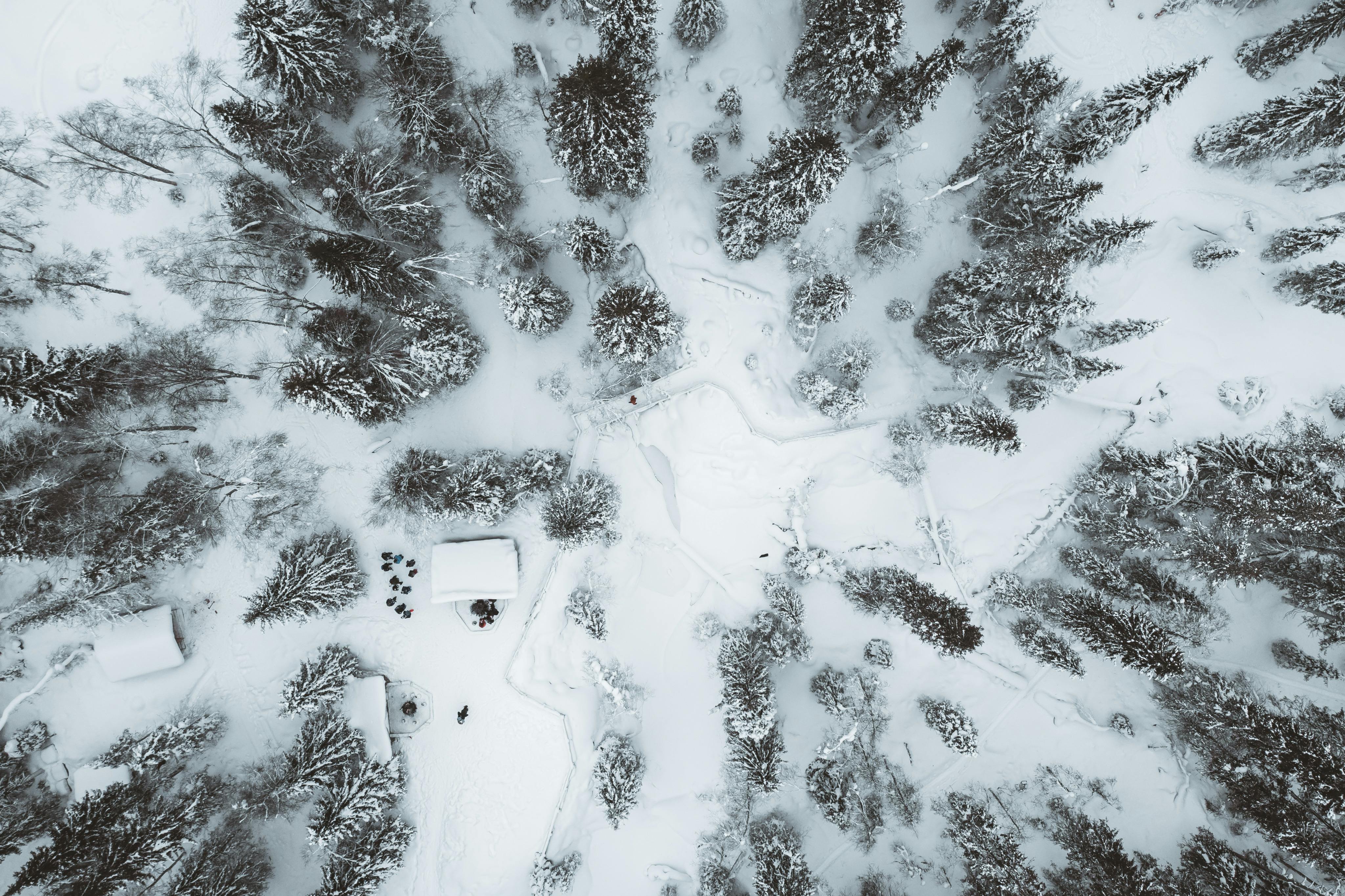 Φυσικό Καταφύγιο Φαράγγι Κορουόμα