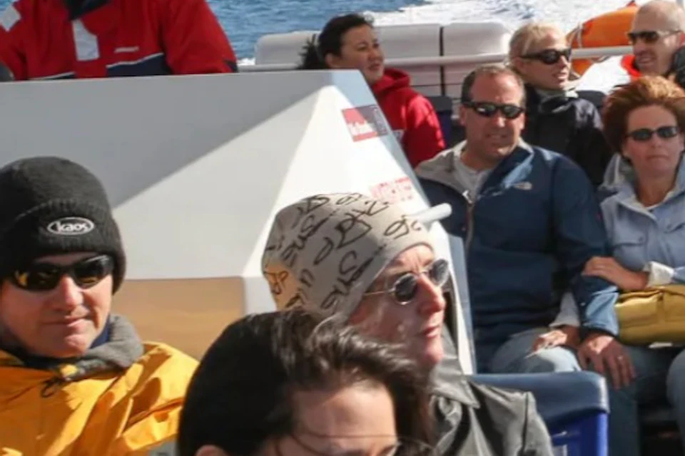 2.5hr Adventure Whale Watching Cruise