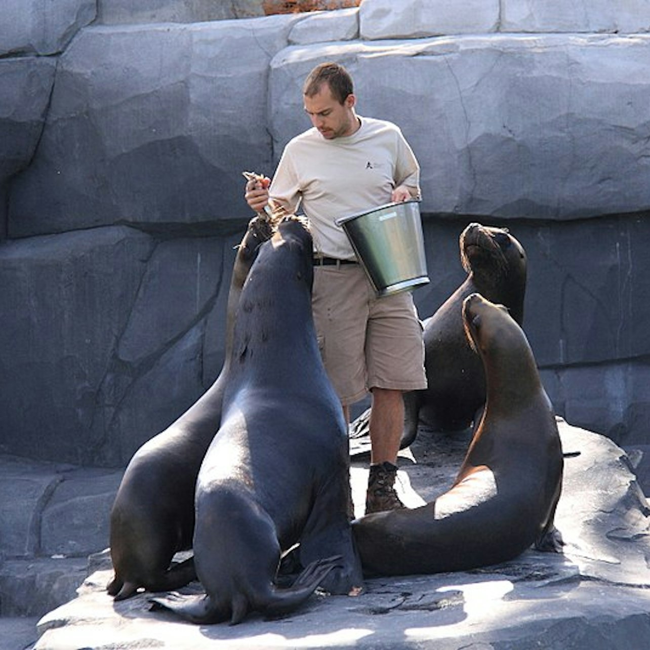 Paris Zoological Park: Entry Ticket in Paris – Tiqets