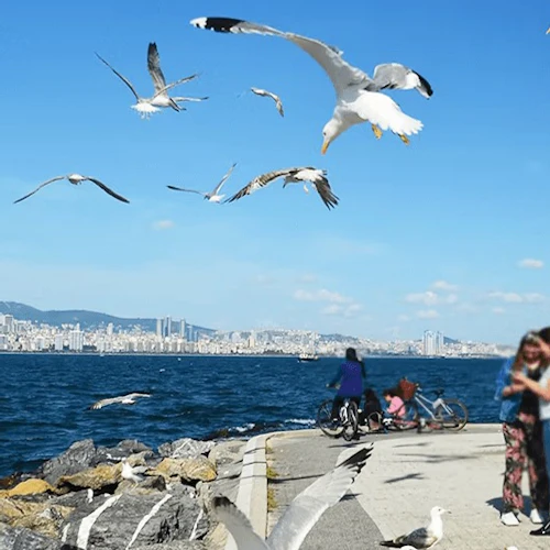 Istanbul: Roundtrip Ferry Ticket To/From Princes' Islands - Photo 2