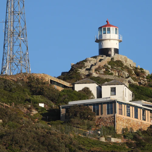 Cape of Good Hope & Boulders Beach: Small-Group Tour - Photo 2