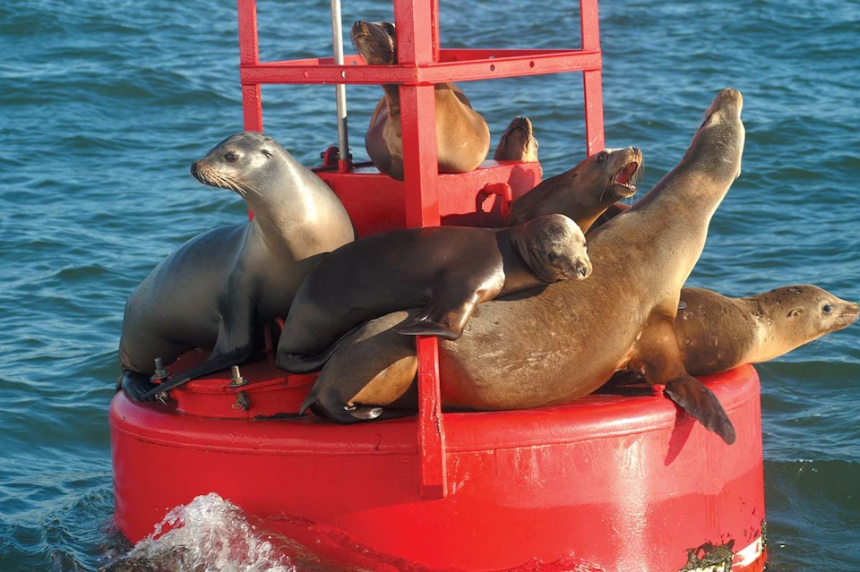 90-minute San Diego Harbor Cruise