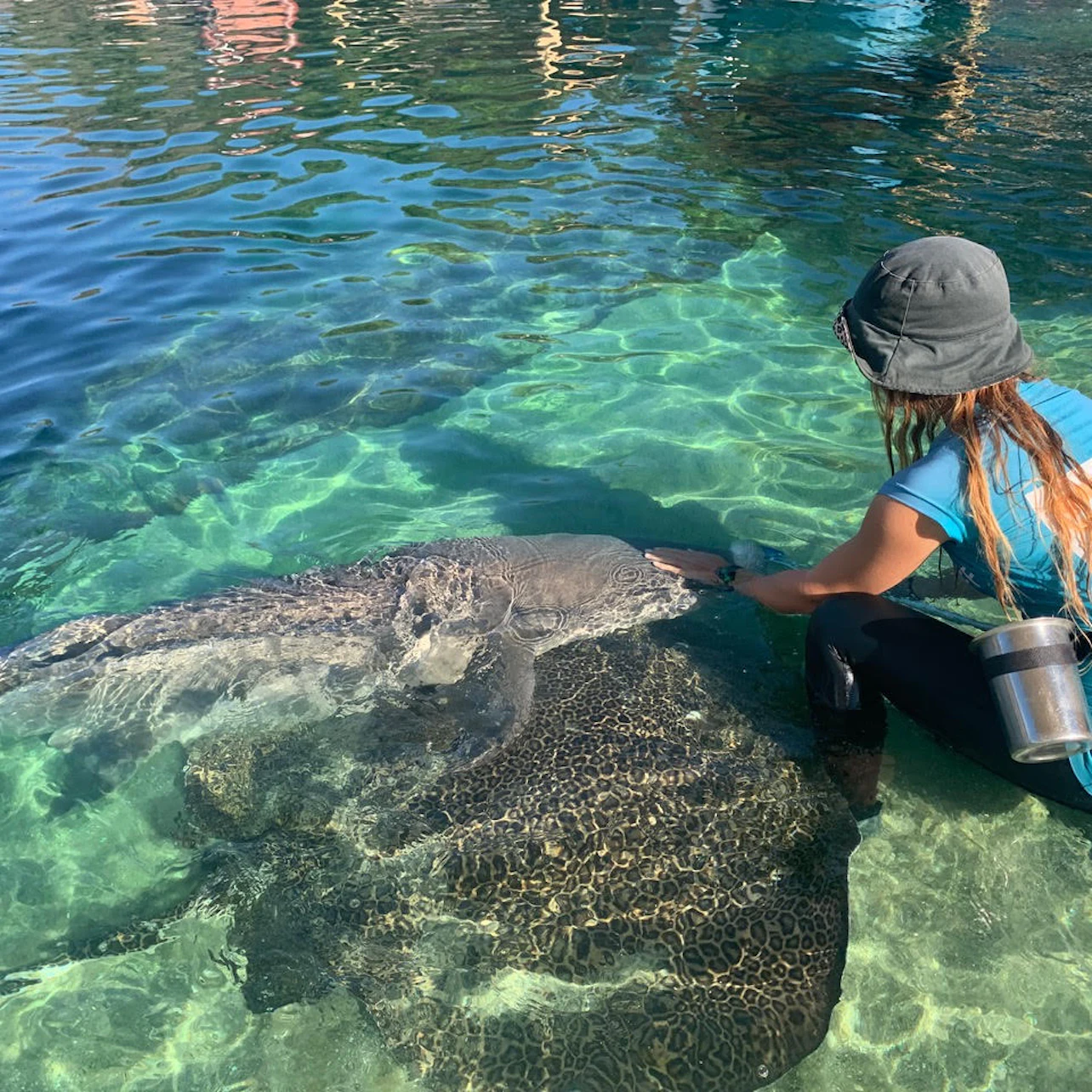 Irukandji Shark & Ray Encounters in Anna Bay β Tiqets