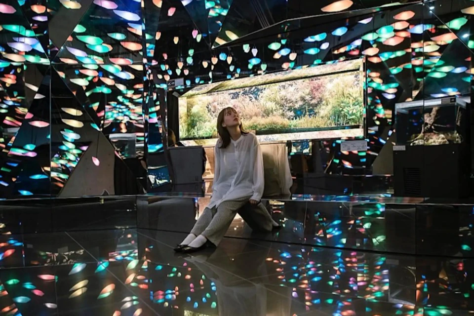 A person sitting on a reflective floor surrounded by colorful light projections, with a nature-themed screen in the background.
