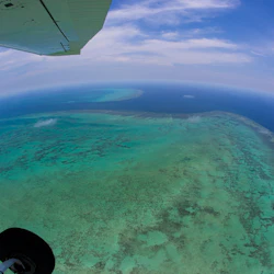Green Island: 40-Min Guided Flight + Boat Cruise from Cairns + Lunch 2