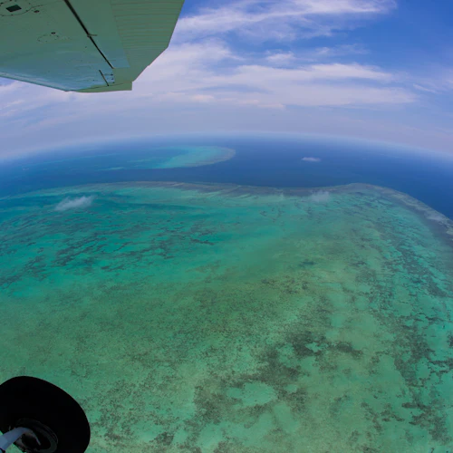 Green Island: 40-Min Guided Flight + Boat Cruise from Cairns + Lunch - Photo 2