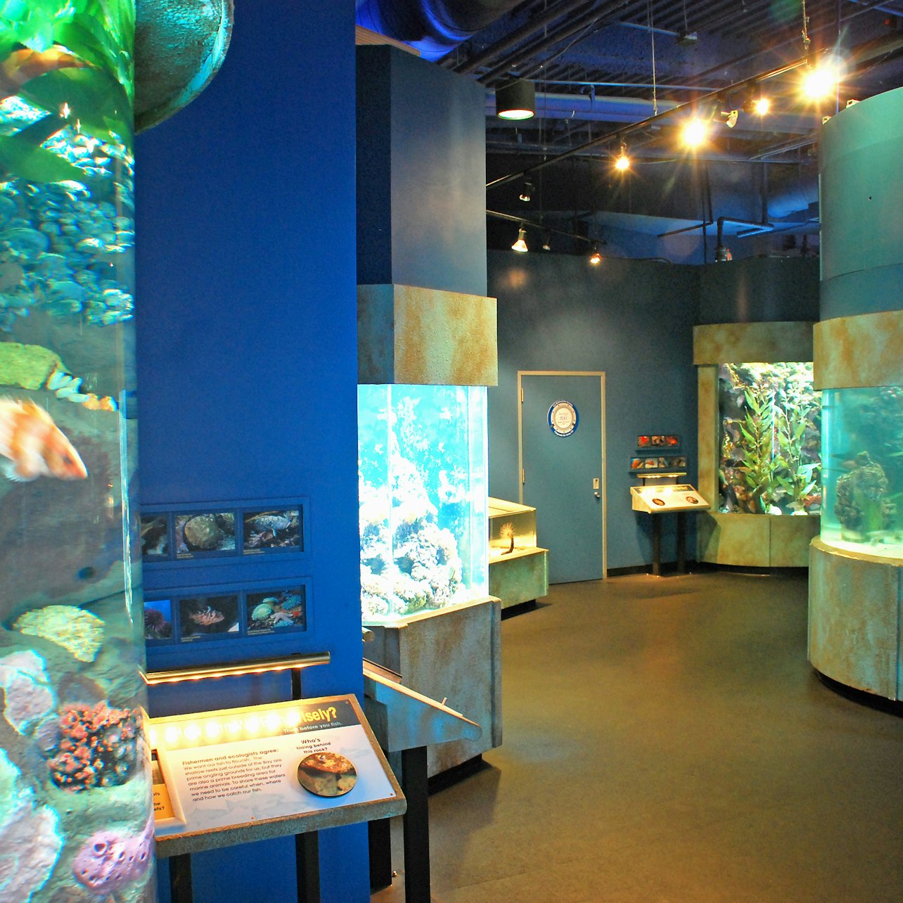 Aquarium of the Bay: Entry Ticket - Accommodations in San Francisco