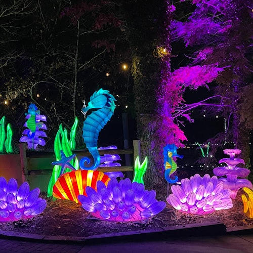 Zoo de Atlanta: IllumiNights