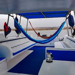 Find Dugong: Private Speedboat 3