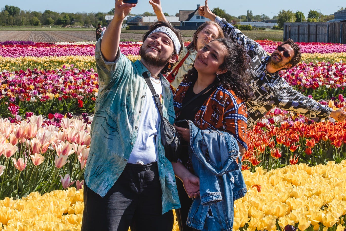 Tulip Experience Amsterdam