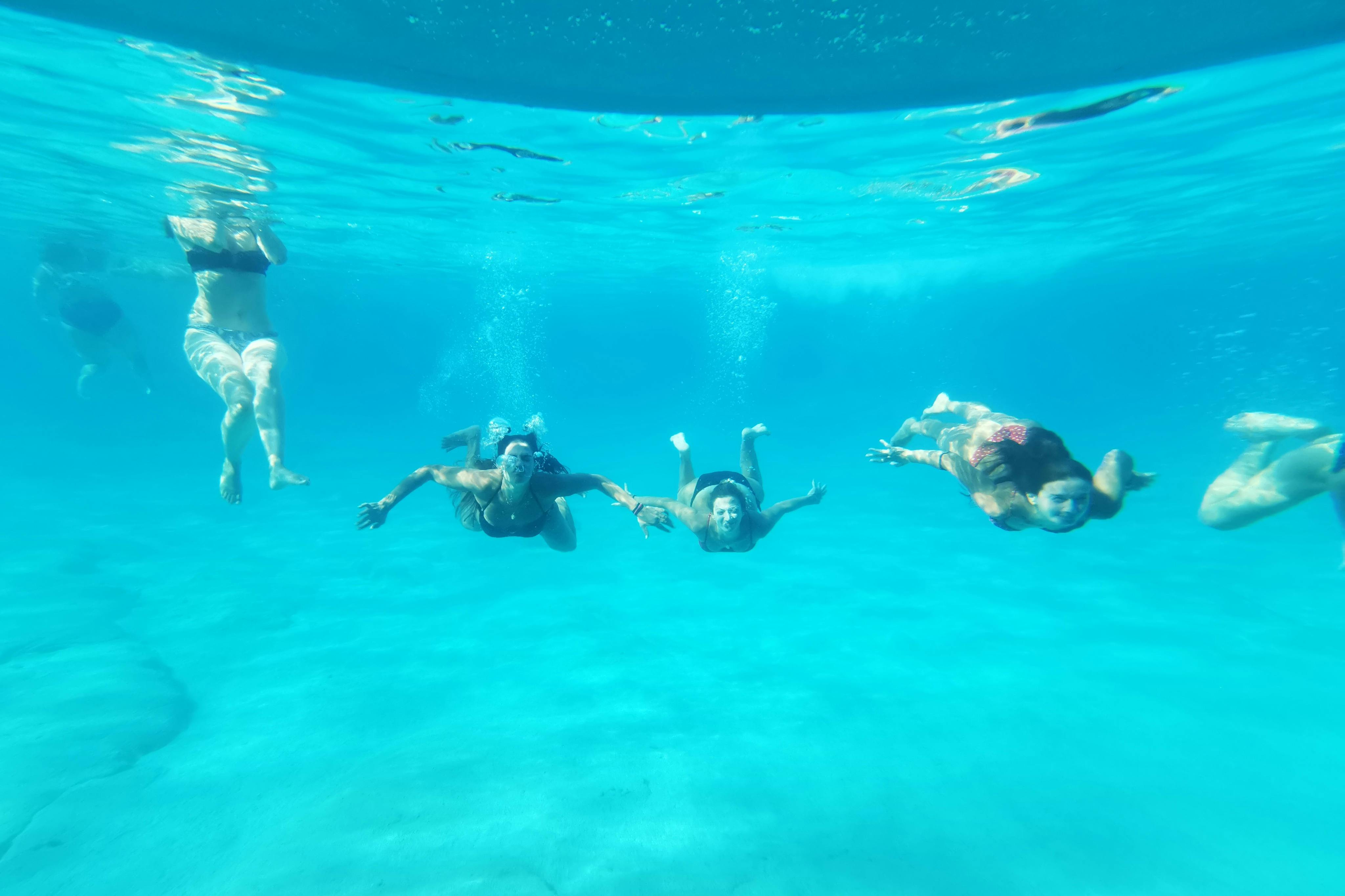 DEN UNDERSØISKE UDSIGT OVER HIPPO UBÅD!