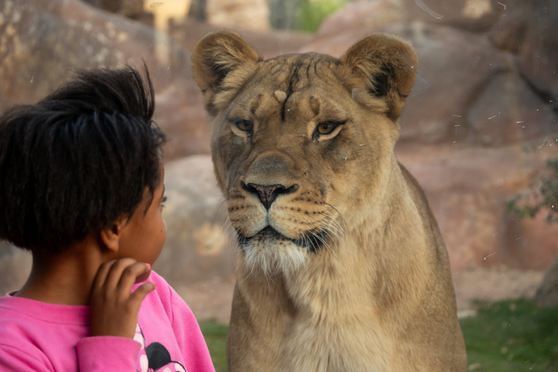 Phoenix Zoo