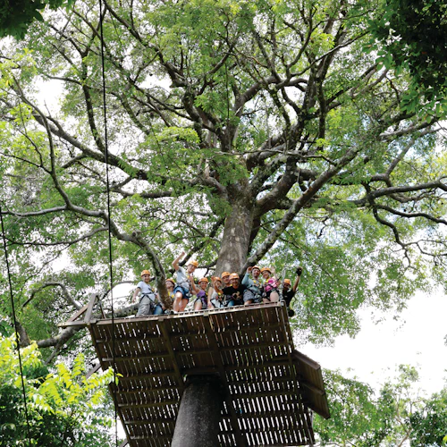 Hanuman World Zipline - Photo 5
